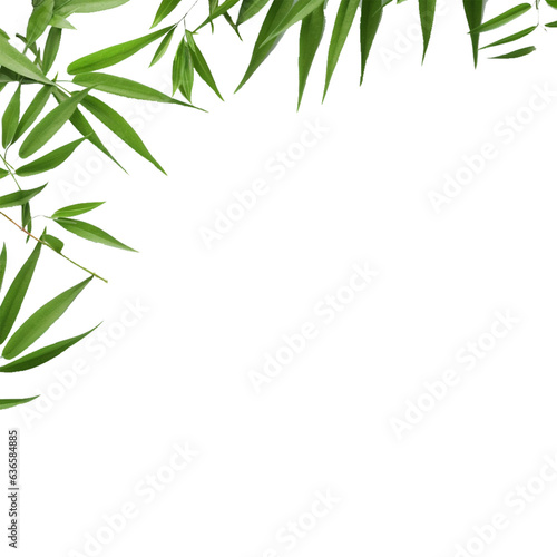 leaf  frame nature green leaves frame  isolated on transparent background,generative AI