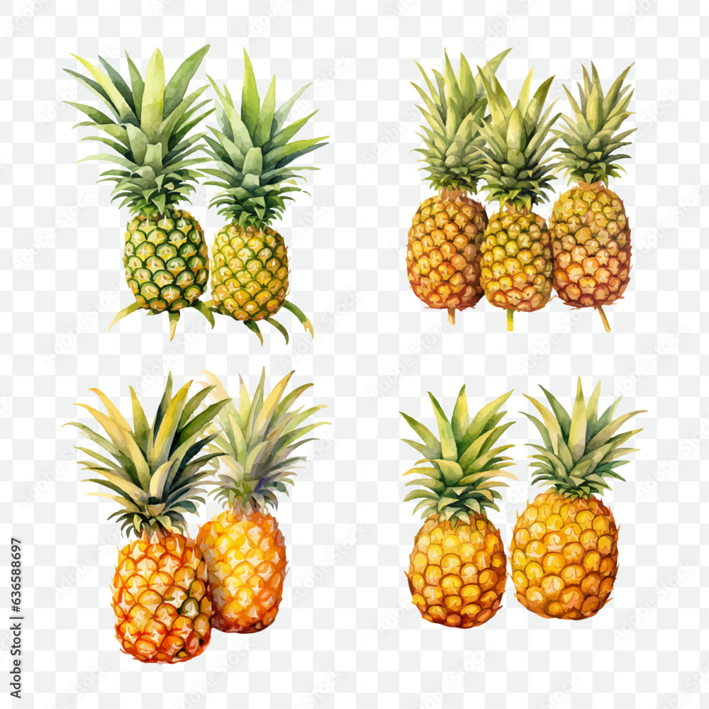 Pineapple watercolor isolated graphic transparent Pineapple watercolor isolated graphic transparent
