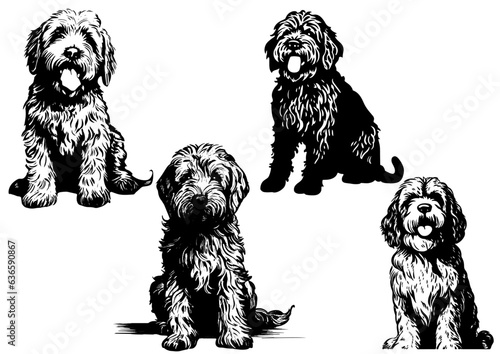 Set of Cocker Spaniel