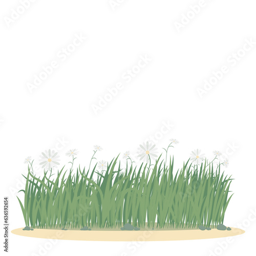 Grass With Flower