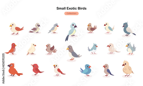 Small Exotic Birds Collection