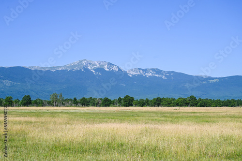 Livanjsko polje, Bosnia and Herzegovina. Field in summer.  Mountain Troglav in distance. photo