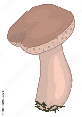 Clipart of edible mushroom Boletus edulis. Doodle of autumn forest harvest. Cartoon vector illustration isolated on white background.