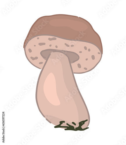 Clipart of edible mushroom Boletus edulis. Doodle of autumn forest harvest. Cartoon vector illustration isolated on white background.