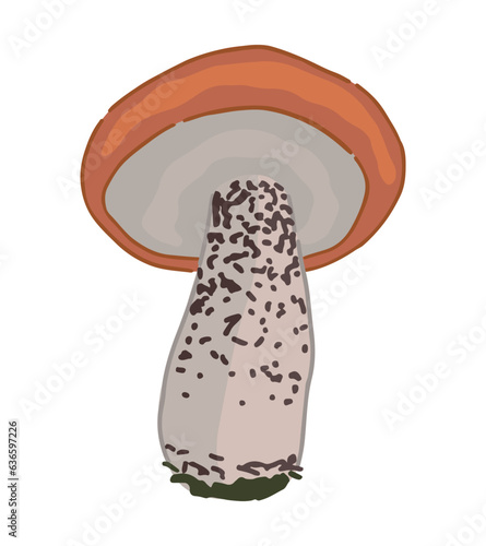 Clipart of edible mushroom leccinum. Doodle of autumn forest harvest. Cartoon vector illustration isolated on white background.