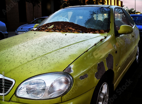 coche abandonado