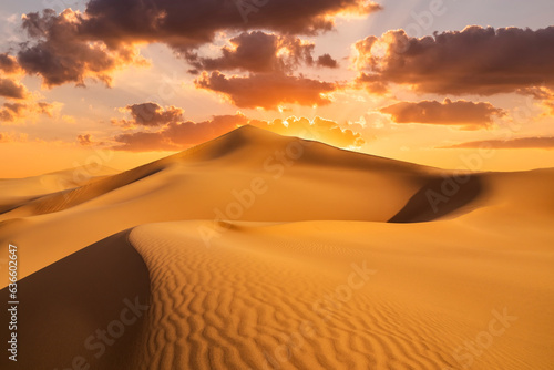 Sunset over the sand dunes in the desert. Arid landscape of the desert. © Anton Petrus