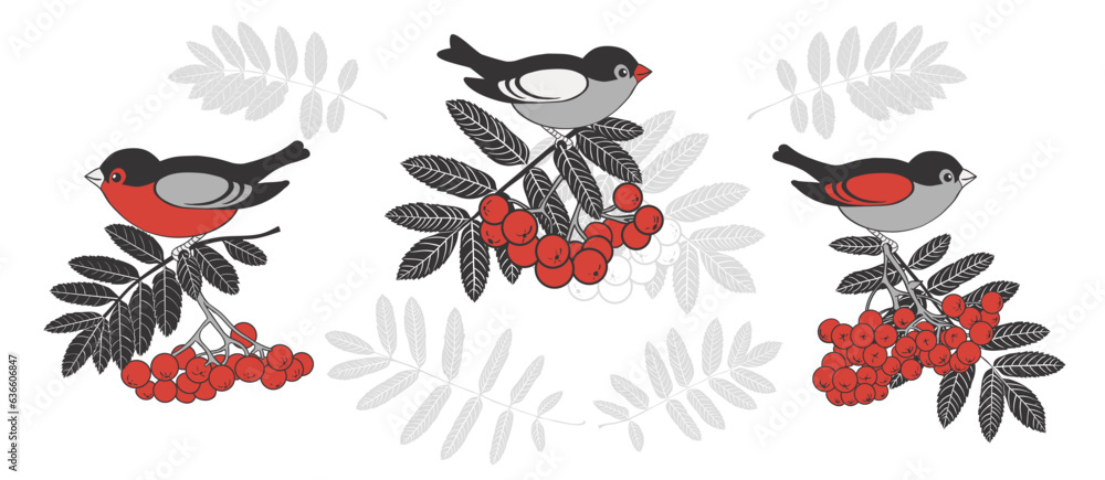 Obraz premium . Bird sitting on a rowan branch with red berries. A set of three images. Colored vector drawings on white background. .