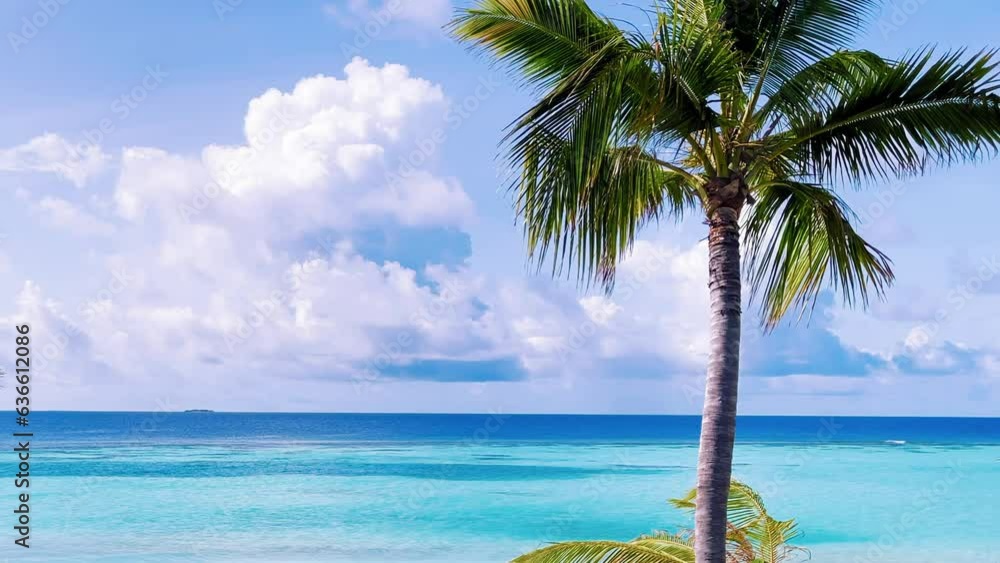 The coastline of the ocean. Maldives, June 2021 The coastline of the ocean. Maldives, June 2021