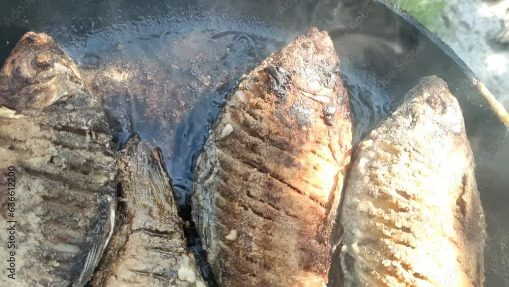 Fried carp in a pan. Boiling oil in slow motion. Fresh fish is cooked on the fire. Fried carp in a pan. Boiling oil in slow motion. Fresh fish is cooked on the fire.