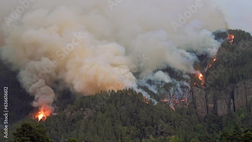 Strong forest fire, heavy smoke and open fire.