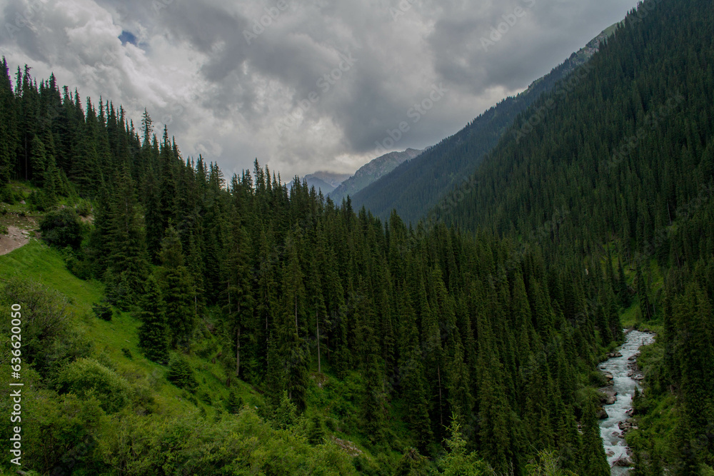 landscape with trees and clouds landscape with trees and clouds
