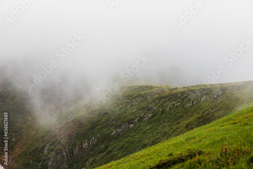 A walk in the mountains