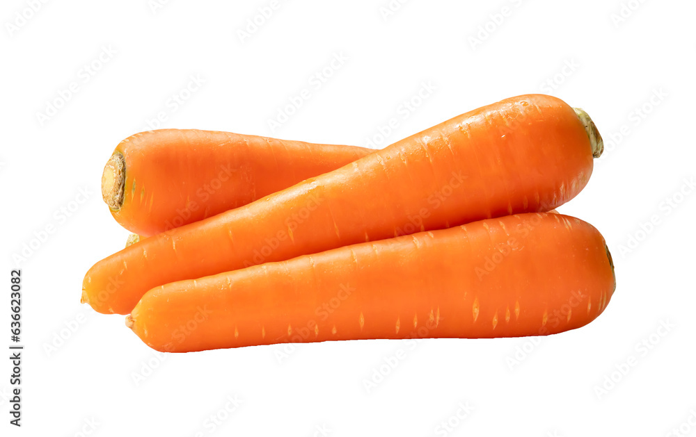 Fresh orange carrots in stack isolated with clipping path in png file format Close up of healthy vegetable root Fresh orange carrots in stack isolated with clipping path in png file format Close up of healthy vegetable root