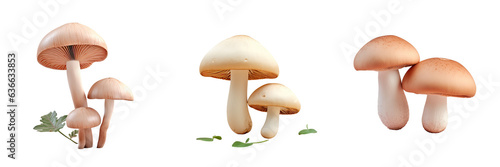 Mushrooms isolated on transparent background with path