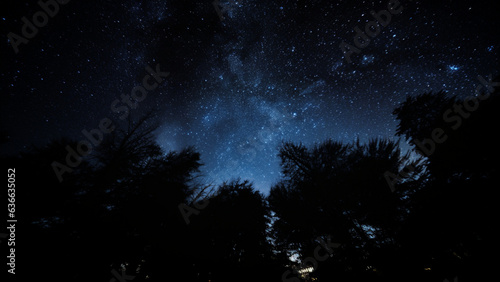 a starry night sky