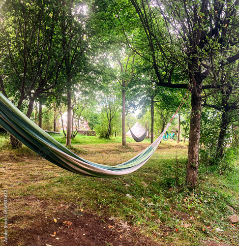 Hammock hanging on a tree in a campsite