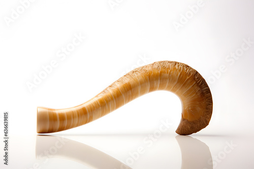 a shofar the traditional rams horn blown
