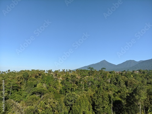 Blue Sky morning on high ground in Baturiti, Tabanan Bali.