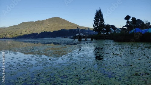 Wallpaper Mural Landscape with Nymphoides and morning fog in the Beratan lake, Tabanan, Bali. Torontodigital.ca