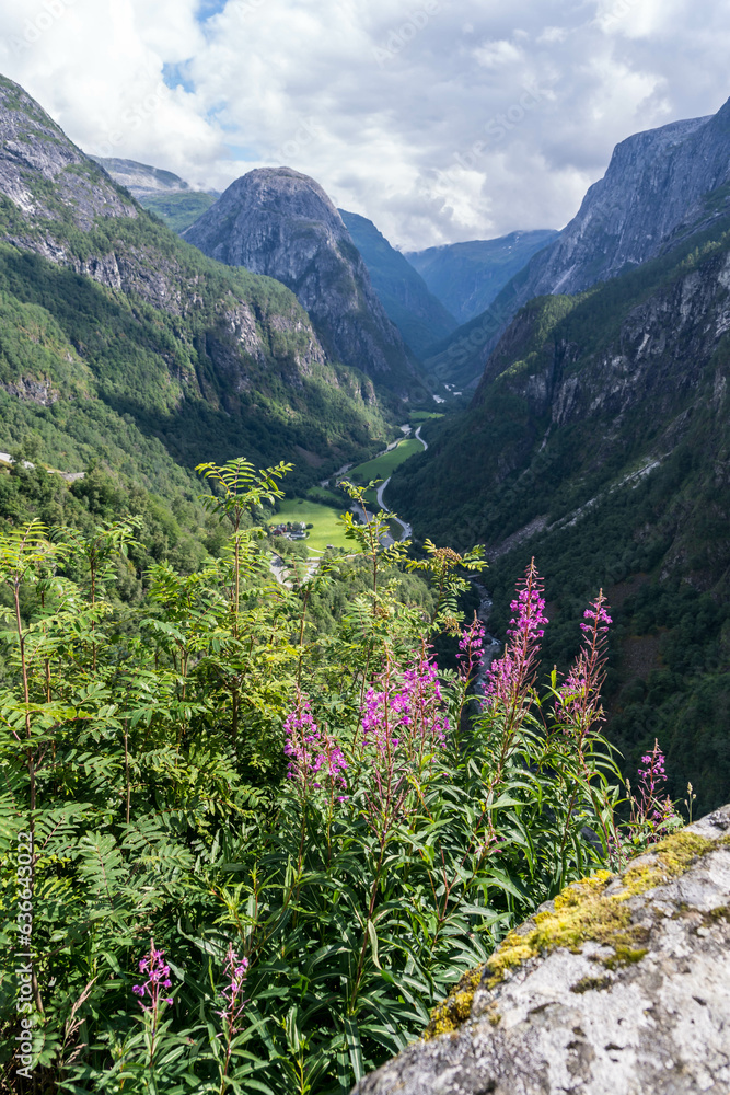 Canyon