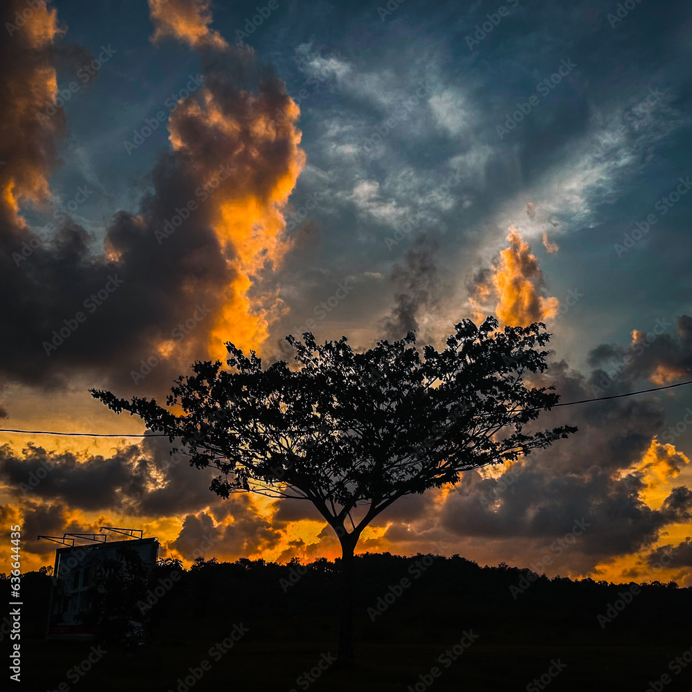 Just tree And Sunset Sky With Clouds And Green grass