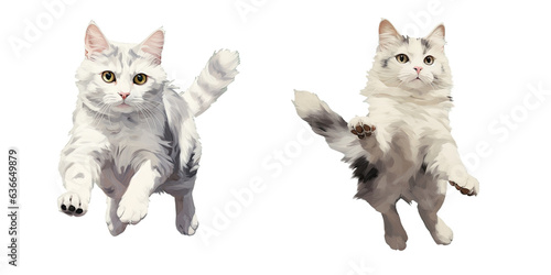 A cat almost jumping with colors white and gray