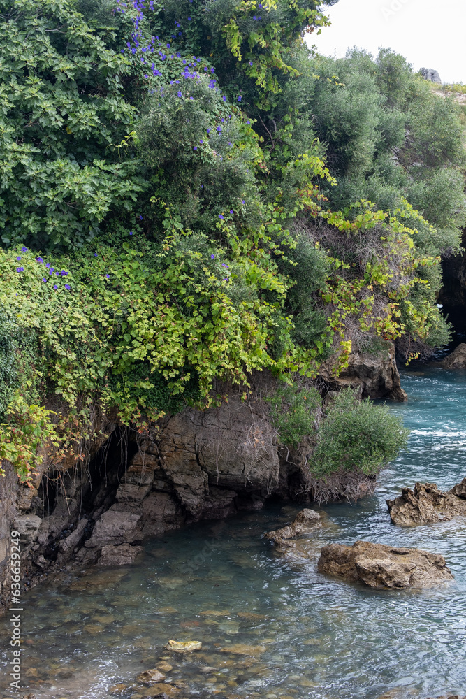 Naklejka premium river in the forest