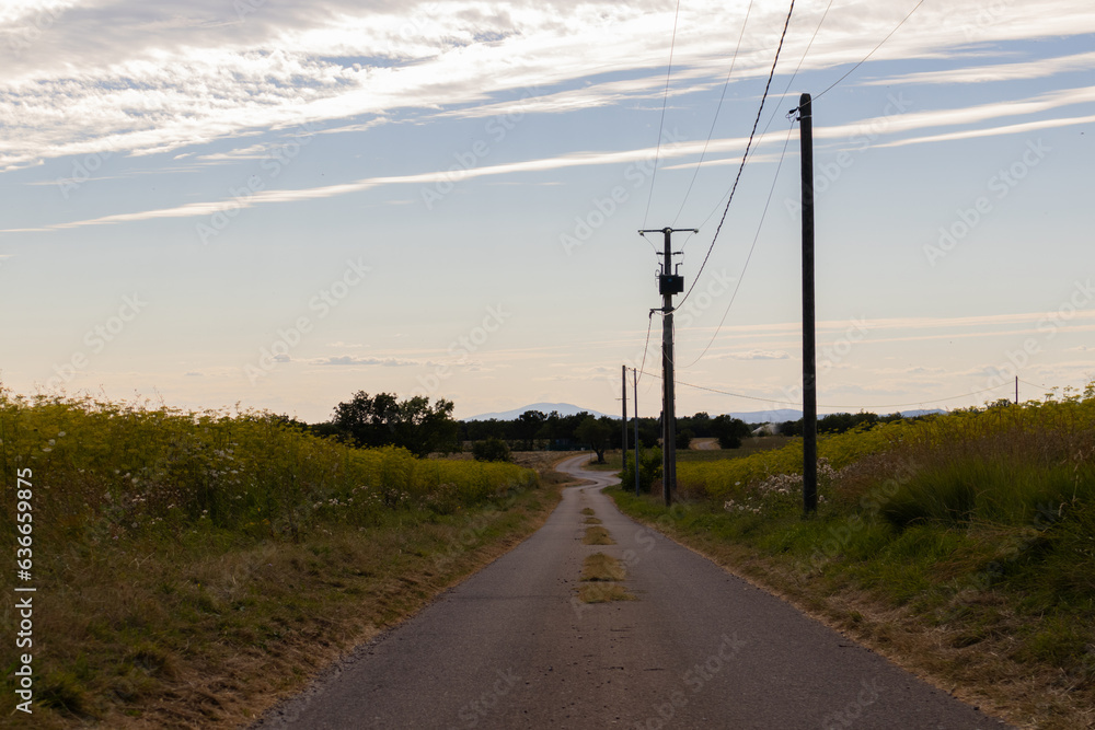 Road trip through France: a small road in between farmland in the Provence.