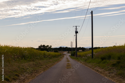 Road trip through France: a small road in between farmland in the Provence.