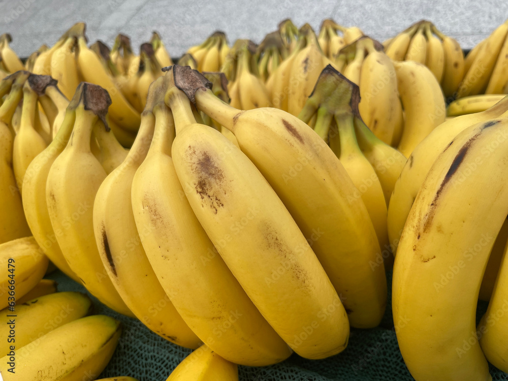 Tropical Abundance: Fresh Bananas at the Market Tropical Abundance: Fresh Bananas at the Market