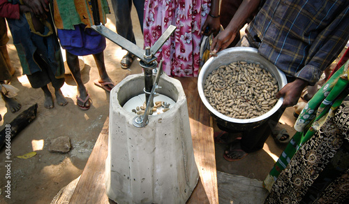 African Peanut Harvest