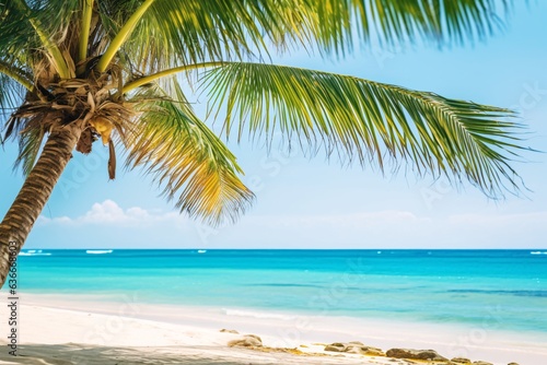 Panorama of beautiful tropical beach. Tropical beach with coconut palm trees and turquoise sea. Palm tree on tropical beach with turquoise water and white sand.
