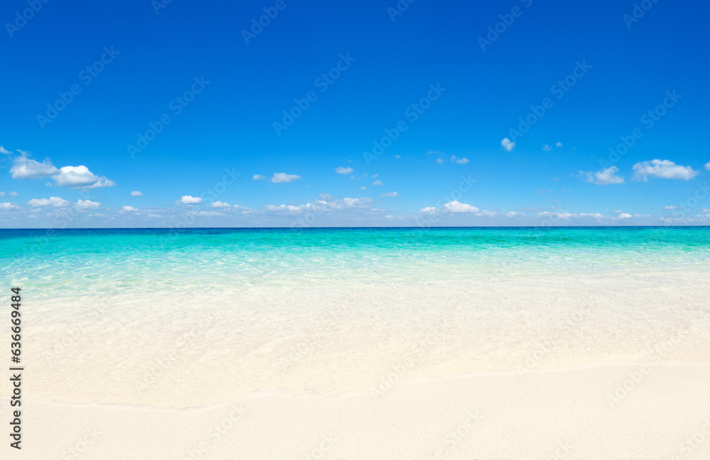 tropical Maldives island with white sandy beach and sea