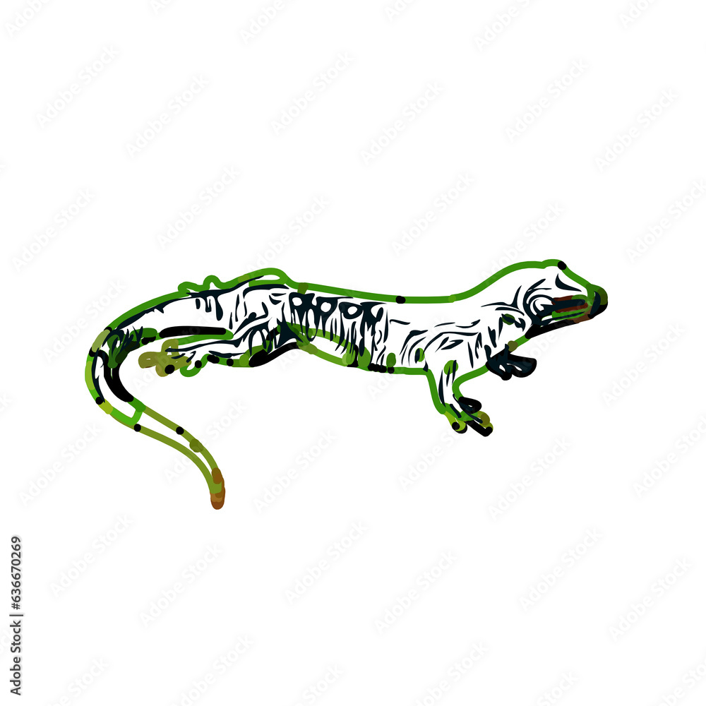 Fototapeta premium color sketch of gecko with transparent background