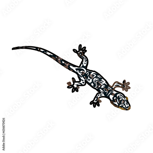 color sketch of gecko with transparent background