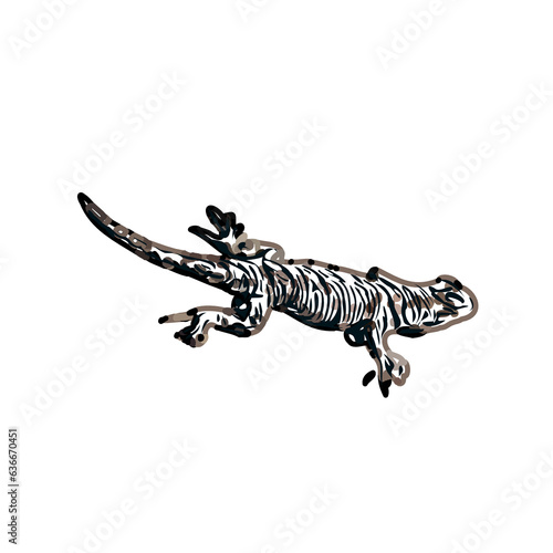 color sketch of gecko with transparent background © Confort