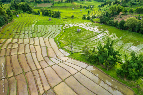 Beautiful rice terraces in the countryside of northern Thailand, Chiang Mai province, Thailand.