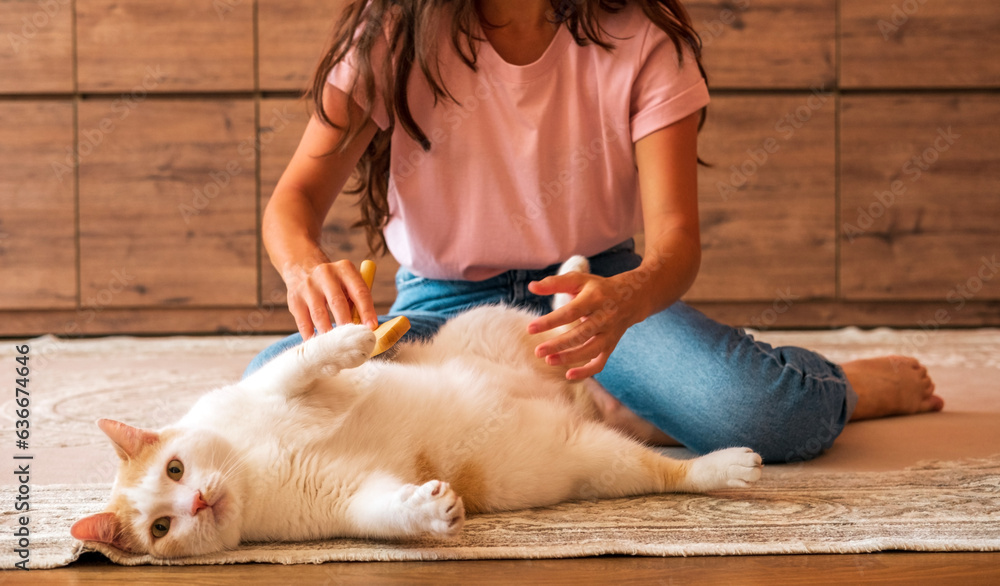 Young woman sitting on floor and combing cat's fur. Cat lies relaxed on floor while grooming. Young woman sitting on floor and combing cat's fur. Cat lies relaxed on floor while grooming.