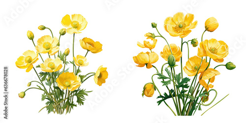 A cluster of yellow flowers