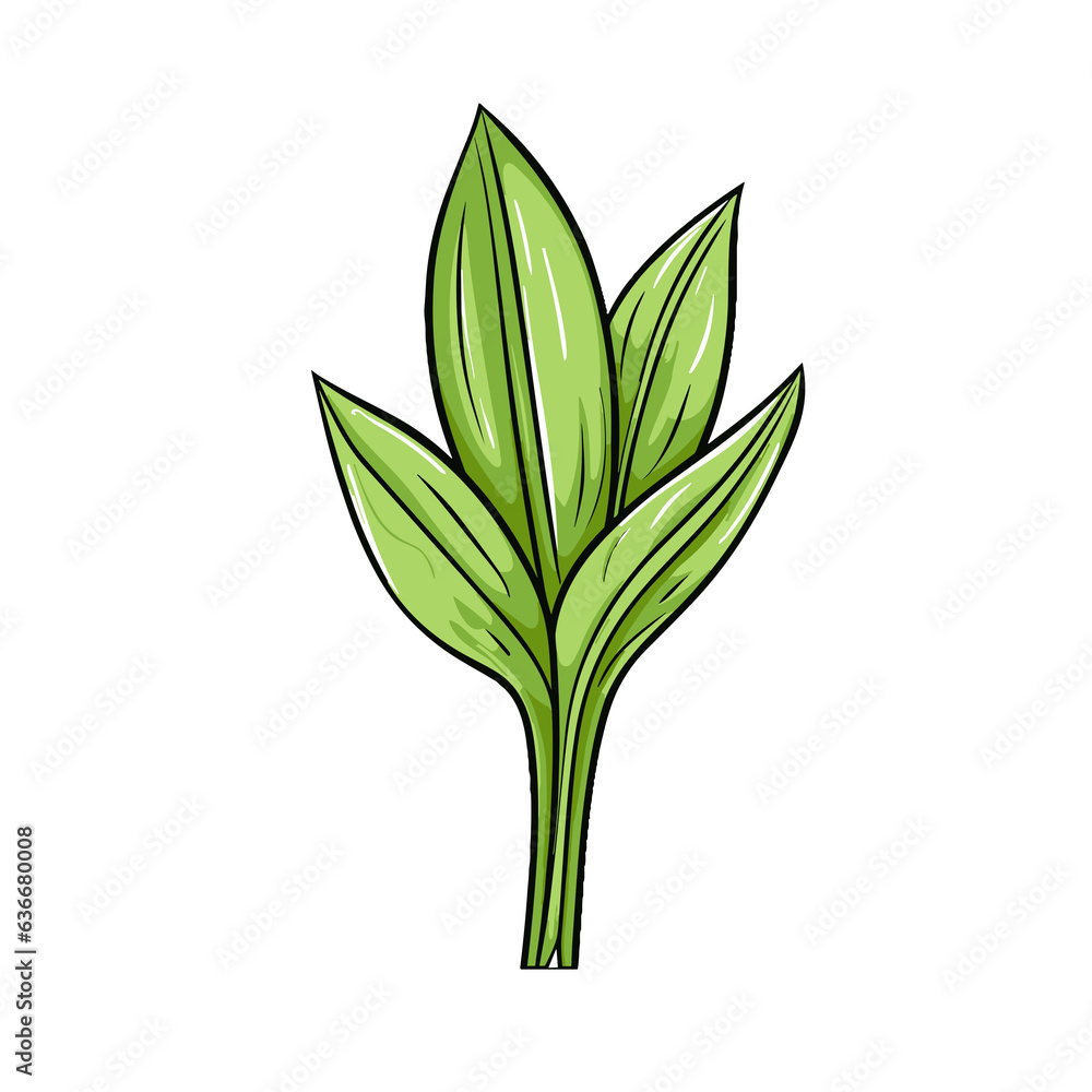 Fototapeta premium Leek watercolor vector illustration, Vegetable