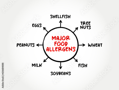 Major Food Allergens (reaction that occurs soon after eating a certain food) mind map text concept background