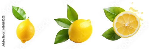 Lemon isolated transparent background