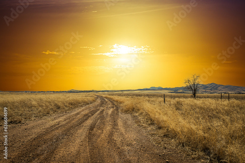 A dirt road leading off into the sunset with dramatically colored skies.
