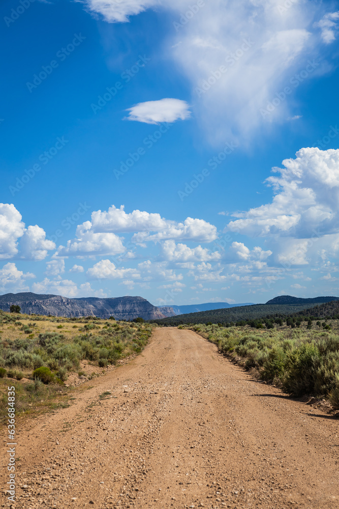 A dirt road stretching across a vast arid valley in northern Arizona with a clear blue sky.