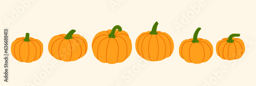 autumn orange vector pumpkins illustration banner, pumpkin decoration, autumn fruits, thanksgiving