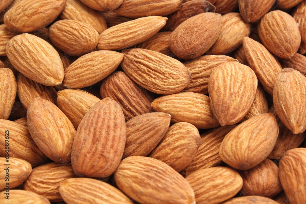 Pile of almond seeds close-up as background. Pile of apricot kernel peeled. Healthy eating diet, nutrition, vegan concept. Protein organic food. Dry snack. National nut day. Copy space for text Pile of almond seeds close-up as background. Pile of apricot kernel peeled. Healthy eating diet, nutrition, vegan concept. Protein organic food. Dry snack. National nut day. Copy space for text