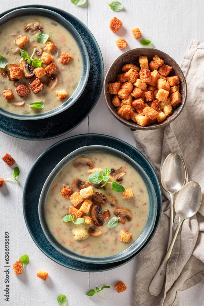 Tasty mushrooms soup with champignons and croutons. Tasty mushrooms soup with champignons and croutons.