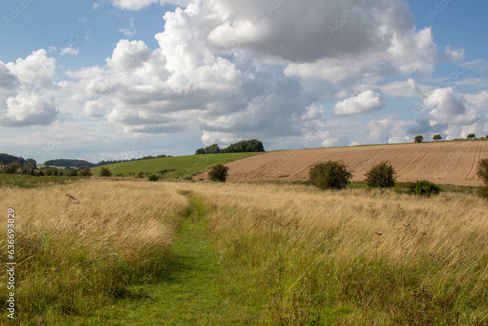 A field with a public footpath A field with a public footpath