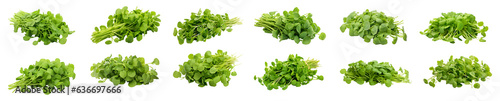 Fresh organic vegetable watercress set on transparent background. vegetable watercress png bundle photo